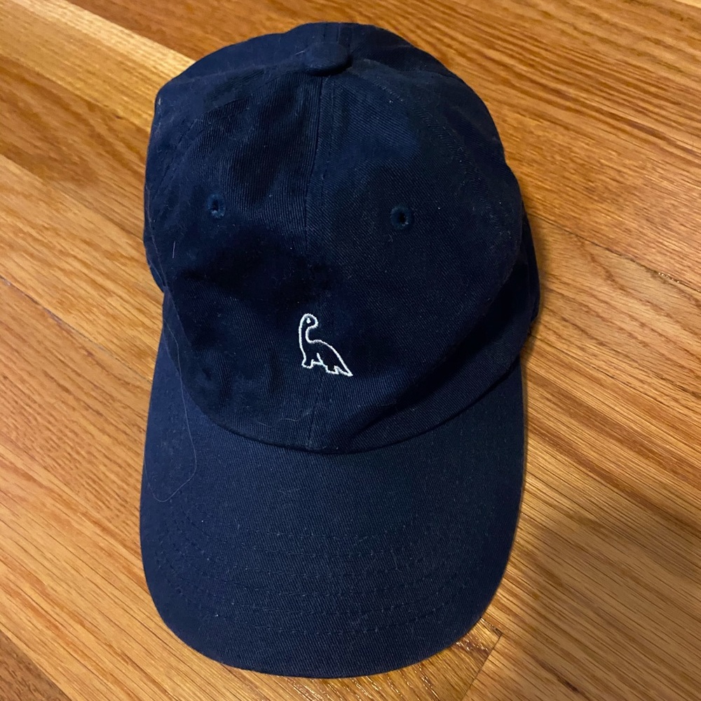 navy dinosaur baseball hat